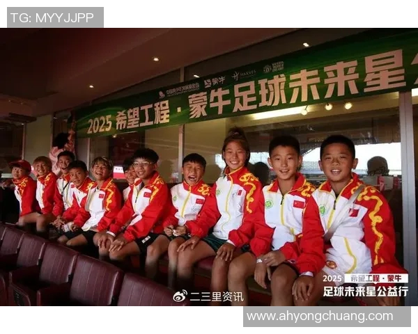 合肥足球球星崛起 探索城市足球文化与青训发展新机遇
